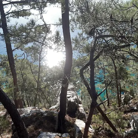 Grande Maison Sur Propriete Pres De La De Morgat Crozon